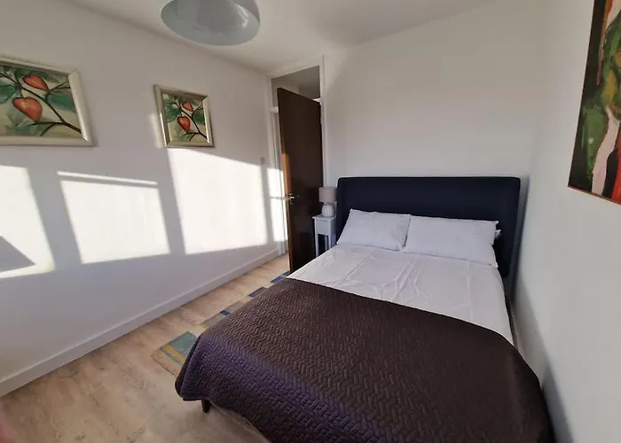 Newly Renovated Apartment!